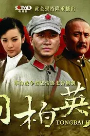 桐柏英雄