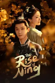The Rise of Ning