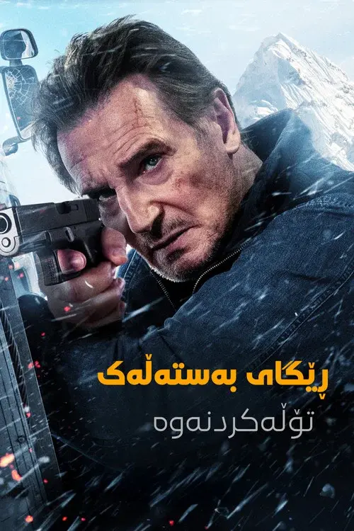 Poster 6