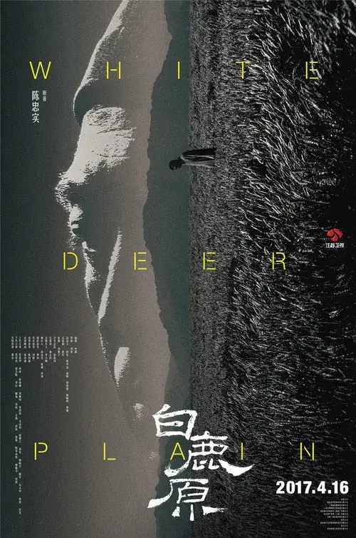 Poster 5