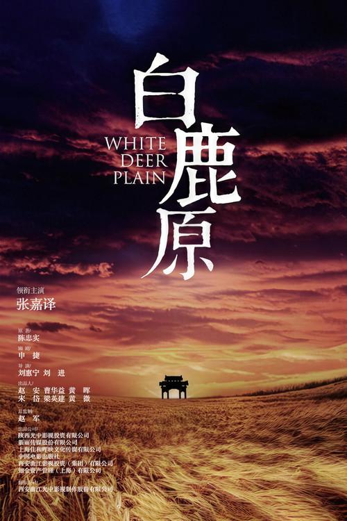 Poster 8