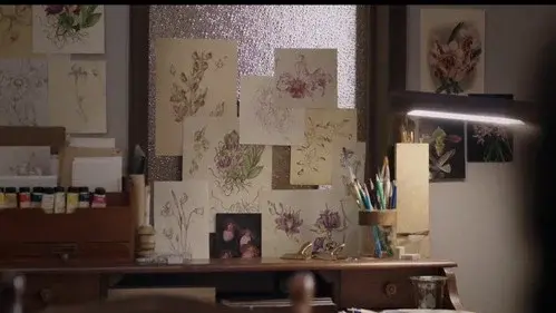 Backdrop 14