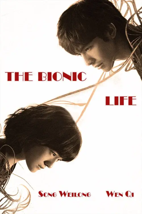 Poster 4