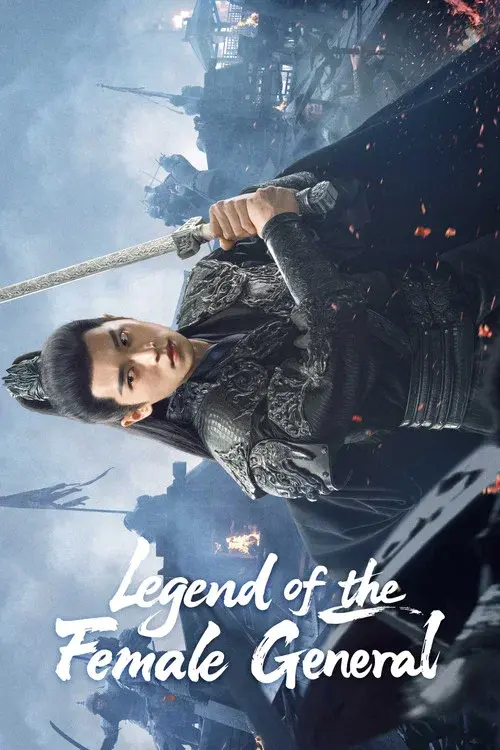 Poster 8