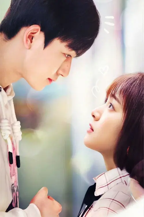 Poster 5